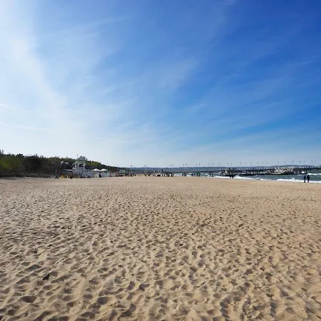 Nadmorski Dwor Wood *