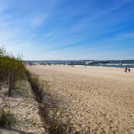 公寓 Nadmorski Dwor Wood