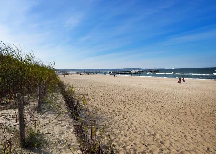 Apartment Nadmorski Dwor Wood