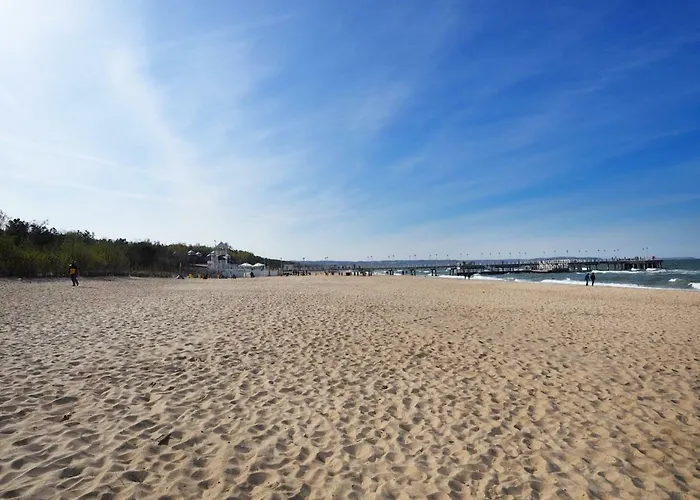 Nadmorski Dwor Wood *